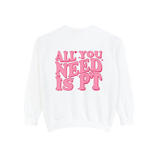 All You Need Is PT Comfort Colors Sweatshirt