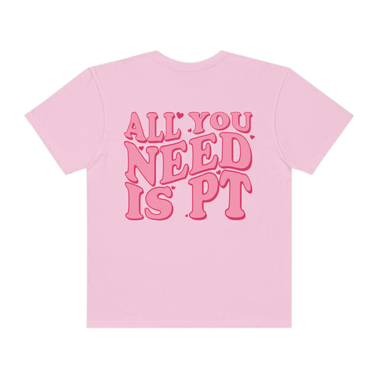 All You Need Is PT Comfort Colors T-Shirt